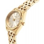 Olympic OL75DDD001-3